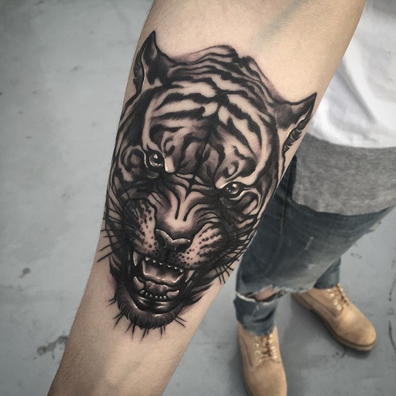 Tatuaggio di una tigre arrabbiata con inchiostro nero per avambraccio stile scuola