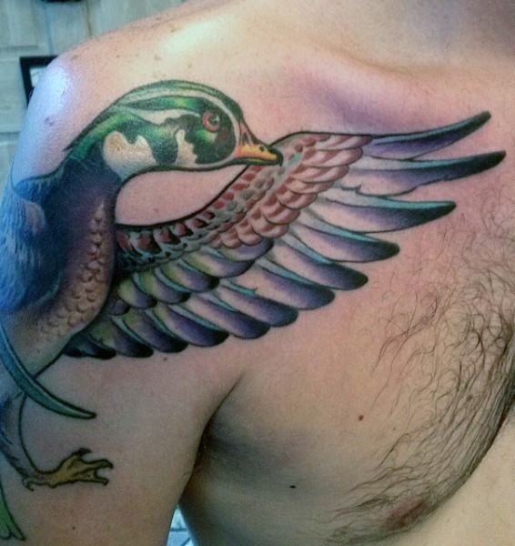 New school style colored bird tattoo on shoulder