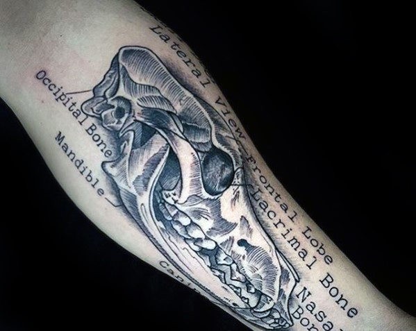 New school style detailed forearm tattoo of animal skull with lettering