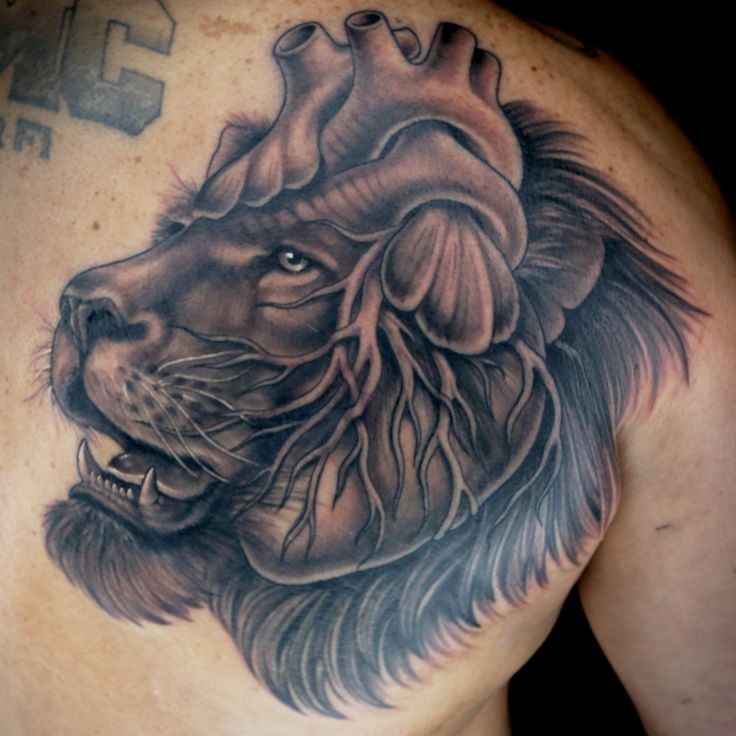 Tatuaggio scapolare combinato di leone nuovo stile originale con cuore umano