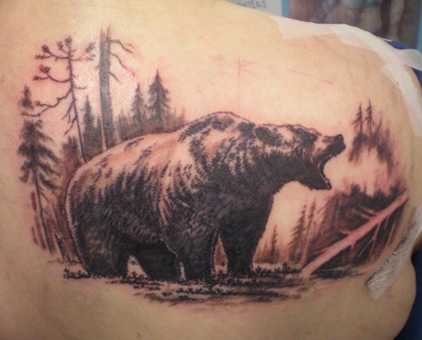 Nice big bear in forest tattoo on back