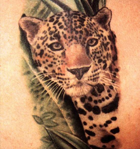 Schöner bunter Leopard in Busch Tattoo