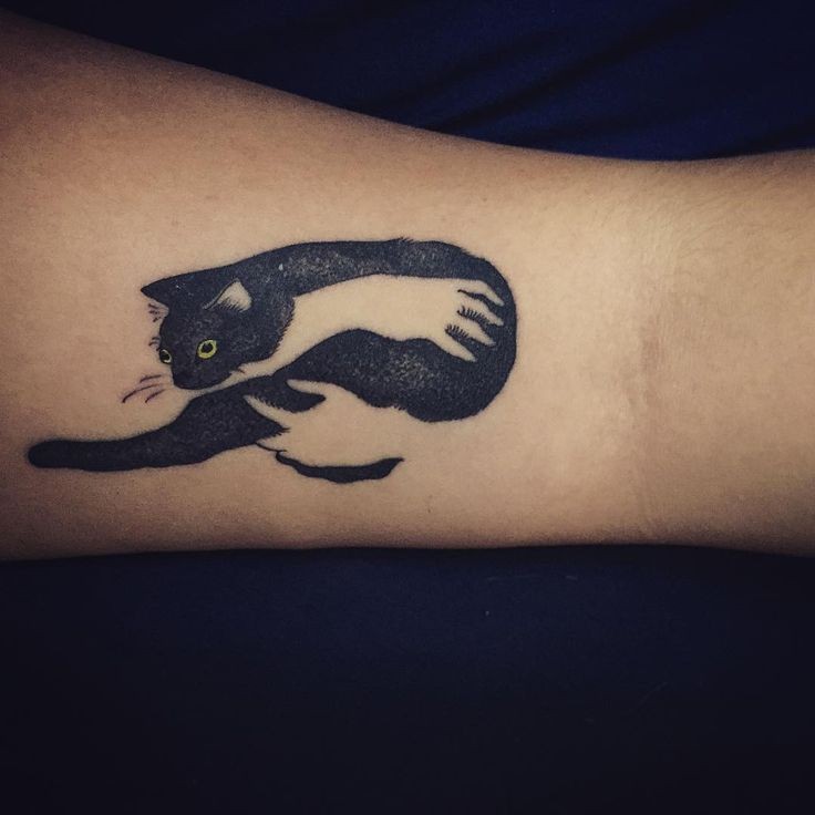 Tatuagem de braço de tinta preta combinada agradável de mãos segurando gato preto