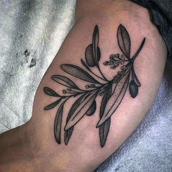 Nice detailed olive branch with olives and flowers tattoo in stippling style on man&quots biceps