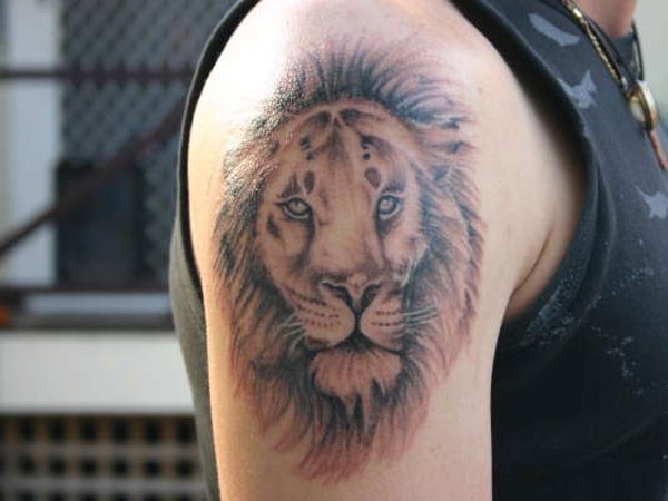 Nice lion head tattoo on shoulder blade