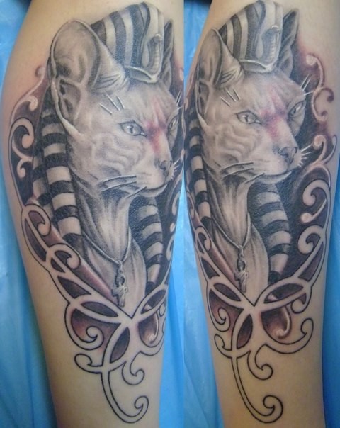 Nett aussehende detaillierte ägyptische Katze Tattoo am Bein