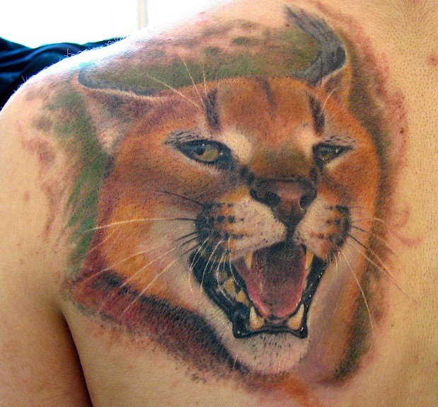 bellissimo dipinto grande colorato gatto selvaggio ruggentetatuaggio su spalla