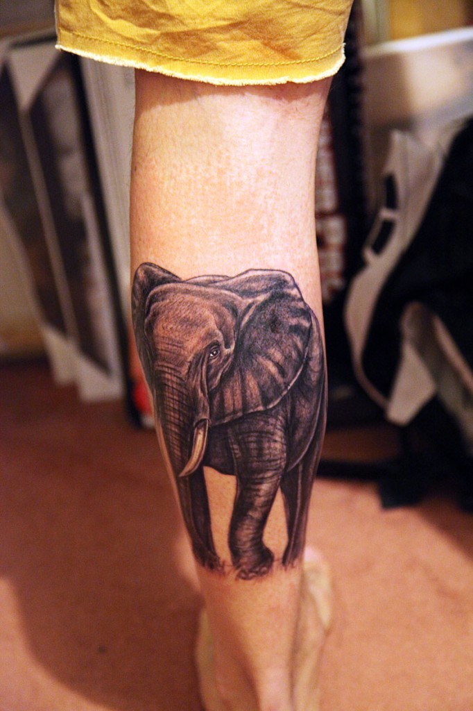 bello dipinto nero e bianco grande elefante tatuaggio su stinco