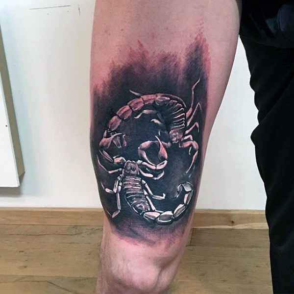 Nice painted black and white scorpions fight tattoo on thigh