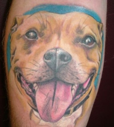 Nice pitbull dog tattoo