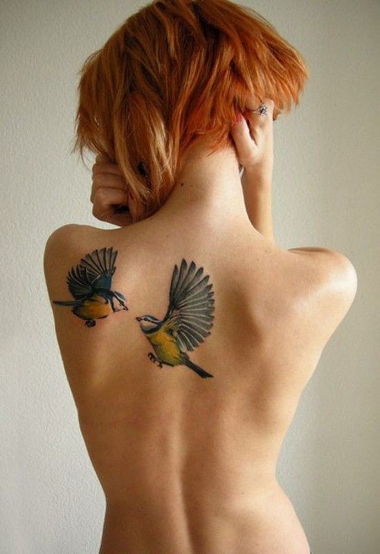 Tatuaggio bellissimo sulla schiena due uccelli colorati