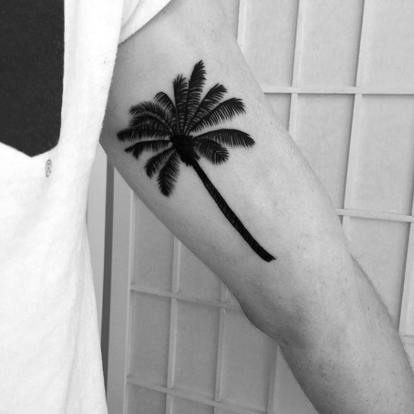 Tatuaje en el brazo, palmera estupenda de tinta negra