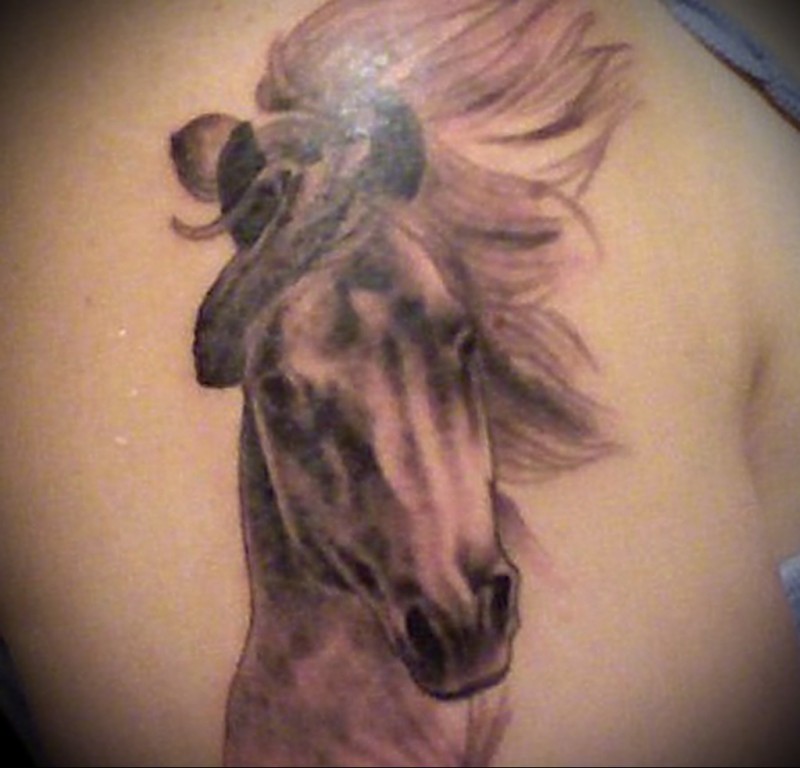 Nice realistic horse head tattoo