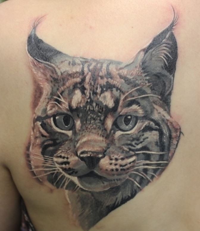Nice unique portrait of lynx tattoo on shoulder blade
