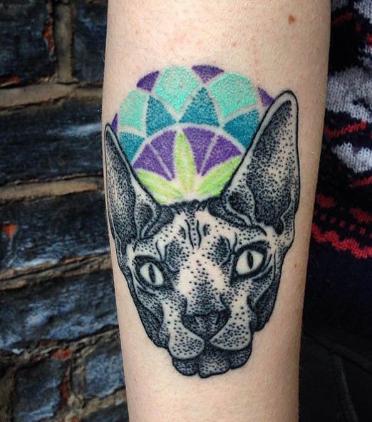 Old dot style colored tattoo of sphinx cat with ornaments