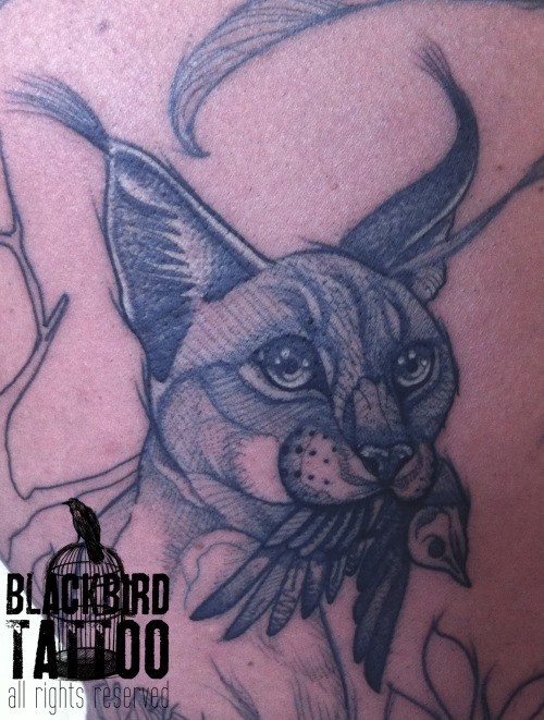 Old looking black ink tattoo of caracal with little bird