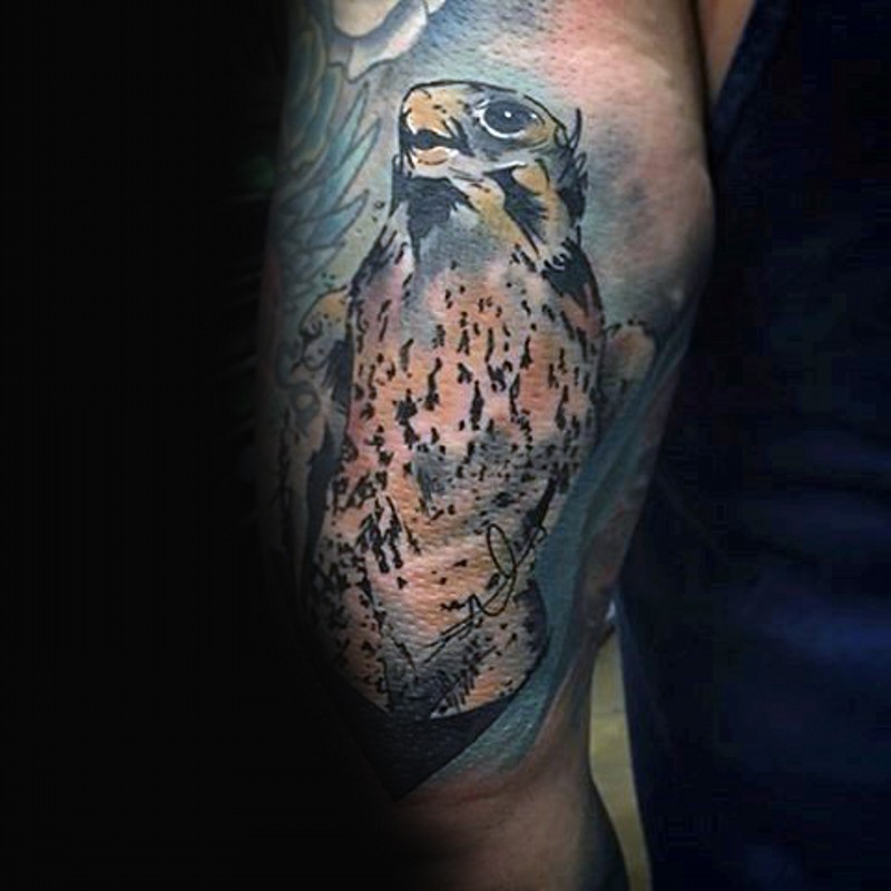 Oldschool farbiges Unterarm Tattoo von Adler mit Autor Unterschrift