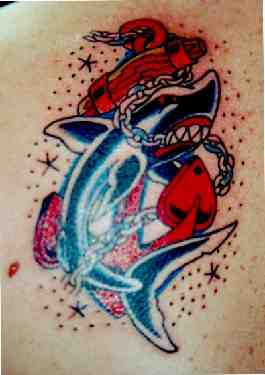 Old school colored tattoo of shark fights with anchor