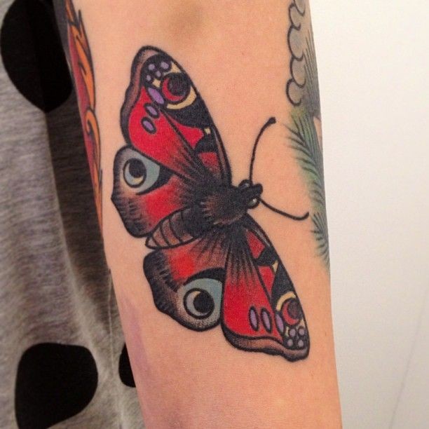 Old school style colored arm tattoo of natural looking beautiful butterfly