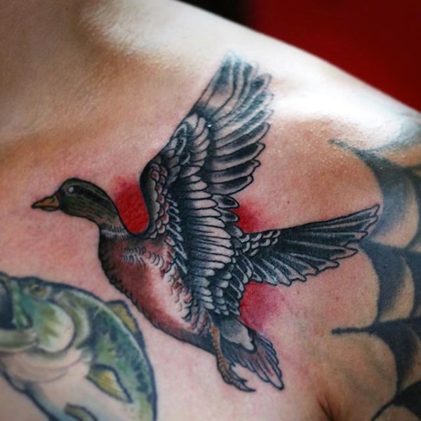 Old school style colored chest tattoo of flying duck