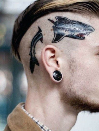Old school style colored crazy shark into skull tattoo