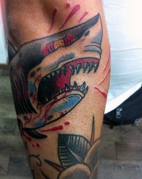 Old school style colored shark head tattoo on arm