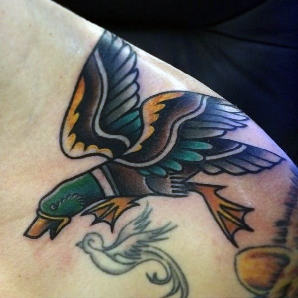 Old school style colored shoulder tattoo of flying duck