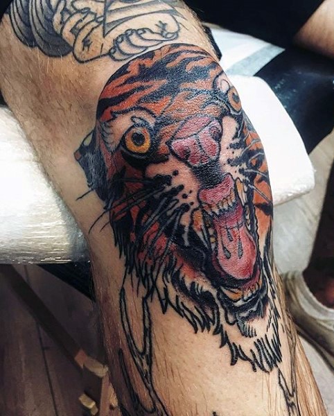 Oldschool Stil farbiges Tiger Tattoo am Knie