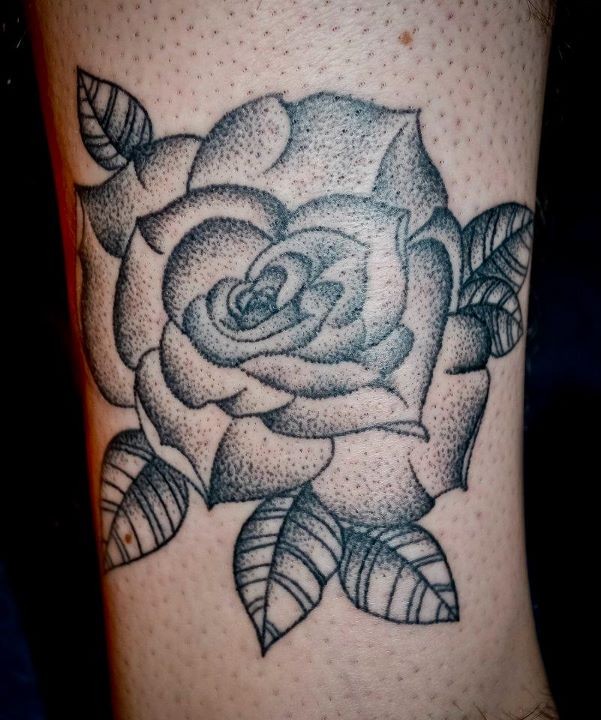 Old style black and white detailed rose flower with small dots
