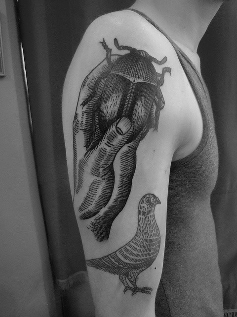 Old style painted black and white pigeon and big bug tattoo on shoulder