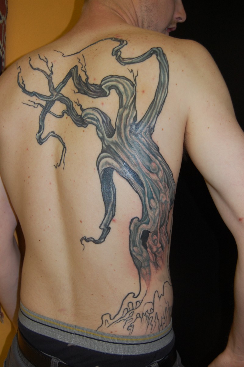 Old tree tattoo on back for men