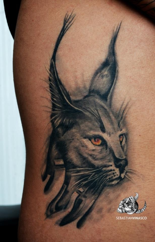 Original art style colored tattoo of caracal with yellow eyes