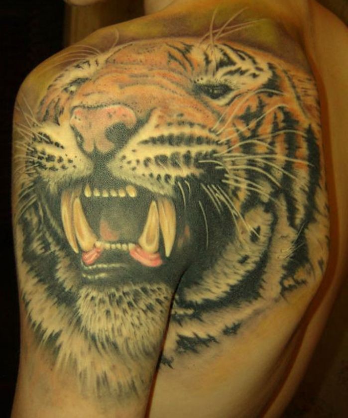 Original painted big colored roaring tiger tattoo on shoulder