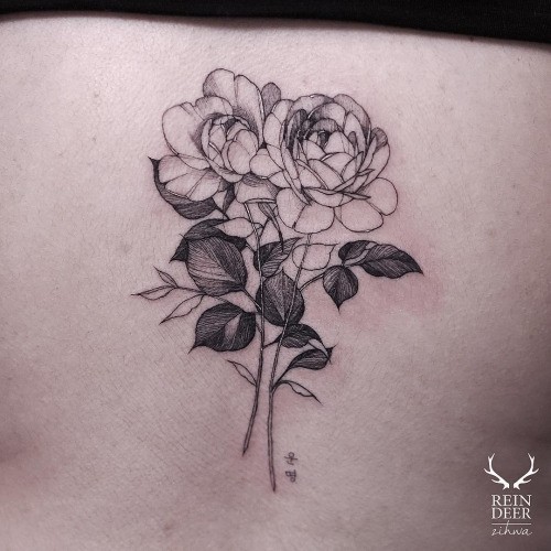 Outline style black ink back tattoo of sweet roses by Zihwa