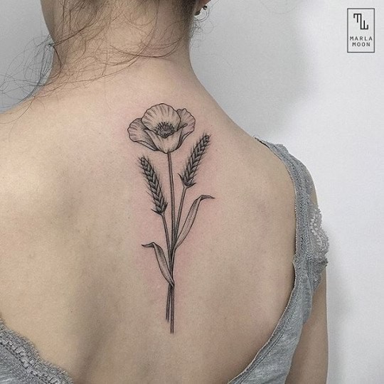 Pale black and white poppy and pair of wheat germs tattoo on lady's spine