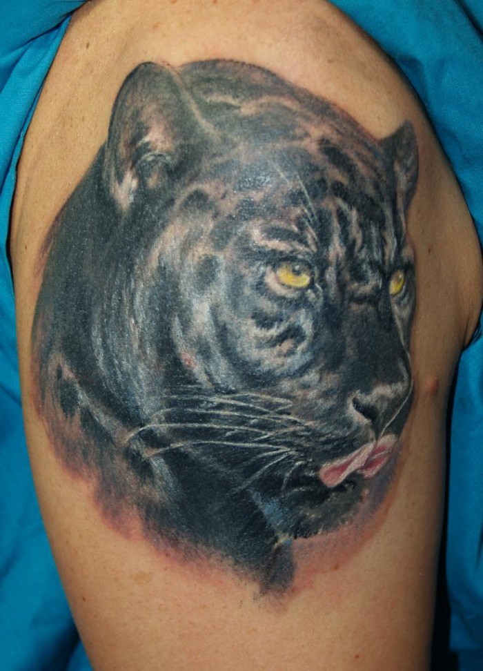 Excellent panther ideas - Part 4 - Tattooimages.biz