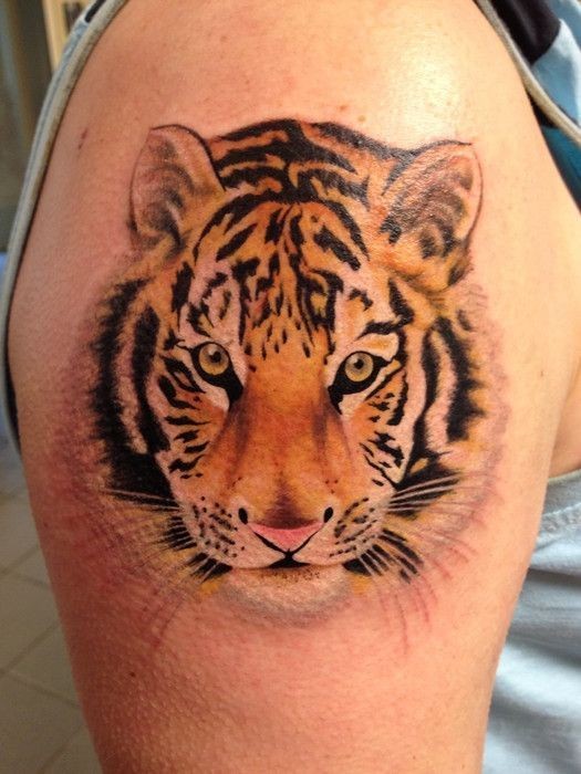 Foto como tatuagem de ombro colorido de tigre fofinho