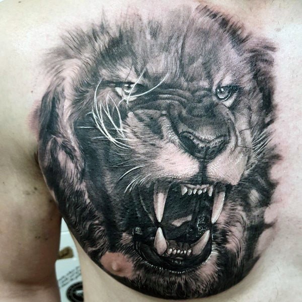 Foto come tatuaggio toracico realistico del ritratto di leone arrabbiato