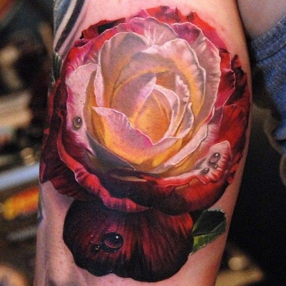 Photorealistic red and white rose tattoo by phil garcia