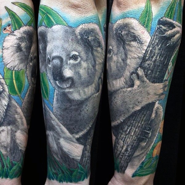 Picture like colored arm tattoo of koala bear with tree branch and leaves