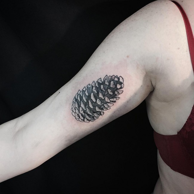 Pine cone detailed realistic biceps tattoo
