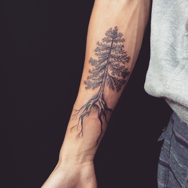 Pine tree forearm length tattoo with long roots