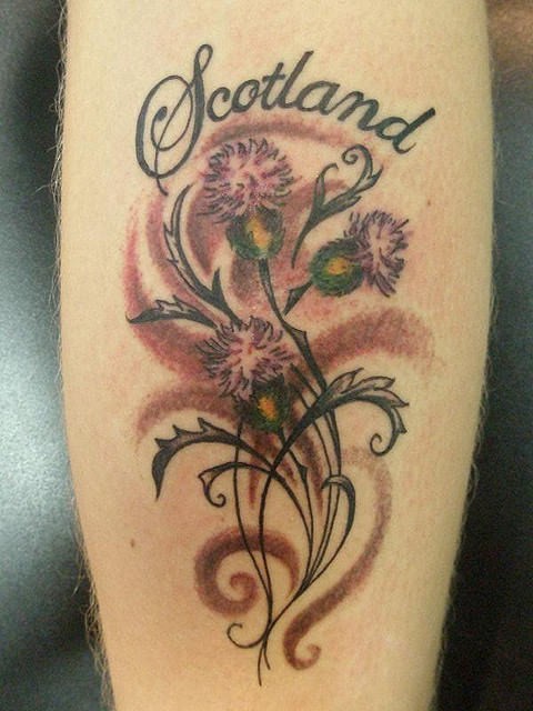 Pink thistles with patterns lettering scotland tattoo