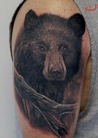 Tatuaje en el brazo,
retrato de oso serio