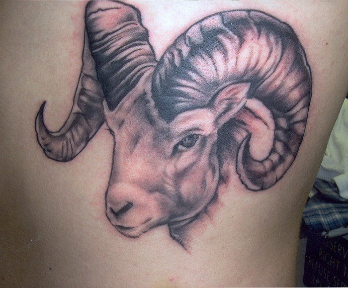 Portrait ram tattoo with horns