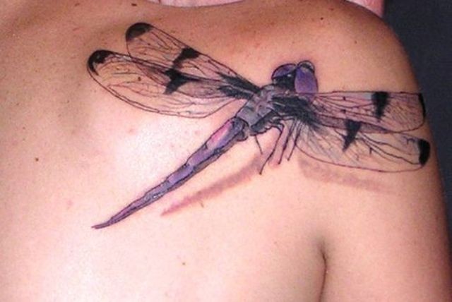 Purple dragonfly tattoo on shoulder blade