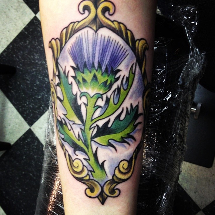 Purple thistle in mirror scotland tattoo