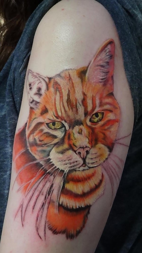 Real life like colored shoulder tattoo of nice cat