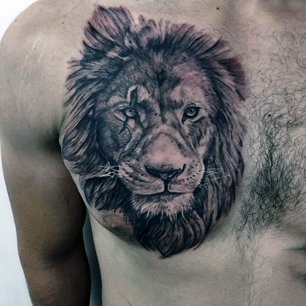 Real lifelike detailed chest tattoo of detailed lion