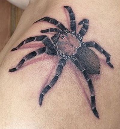 Tatuaje  de araña  tarántula realista en el hombro
